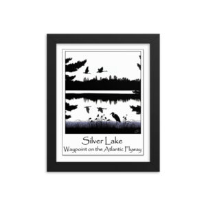 enhanced matte paper framed poster in black 8x10 transparent with an image of Silver Lake featuring a blue heron in the foreground and Canada Geese in flight overhead, highlighting Silver Lake as a waypoint on the American Atlantic Flyway from historyofsilverlake.com website.