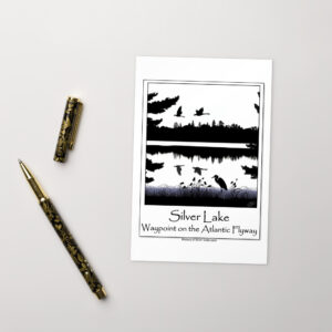 standard postcard 4x6 front with an image of Silver Lake featuring a blue heron in the foreground and Canada Geese in flight overhead, highlighting Silver Lake as a waypoint on the American Atlantic Flyway from historyofsilverlake.com website.